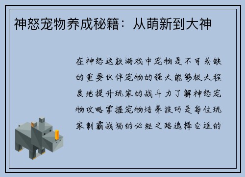 神怒宠物养成秘籍：从萌新到大神